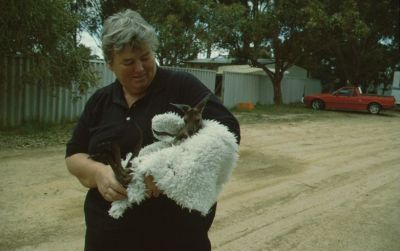 kleines Kangaroo auf Arm_400_251.jpg