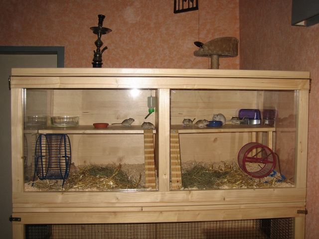 Der 1. Mäusekäfig über dem Hasenkäfig. Die Trennwand lässt sich rausnehmen. Zu dem Zeitpunkt als ich das Bild gemacht hatte, musste ich gerade die Männchen und Weibchen trennen und hatte noch keinen zweiten Käfig.